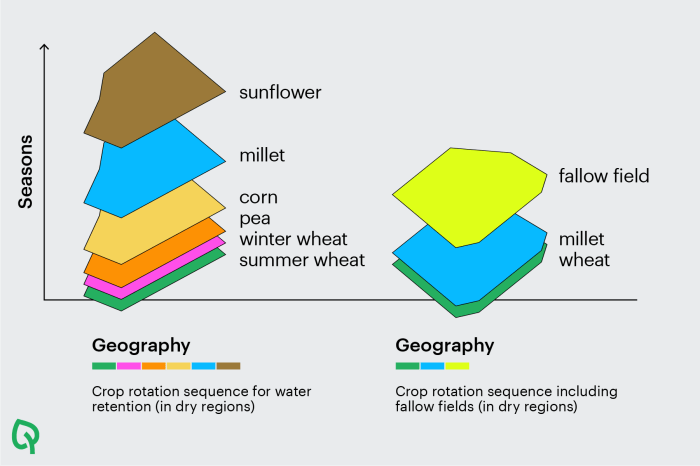 Crop rotation ap human geography