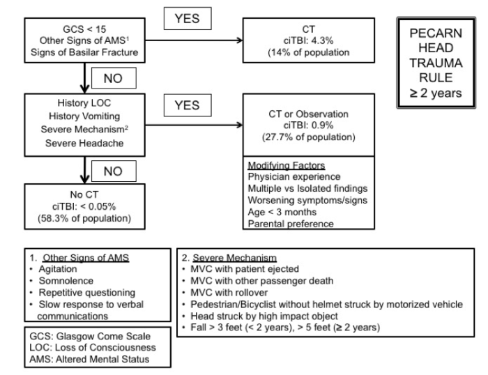 Pediatric trauma head assessment acute management injuries module