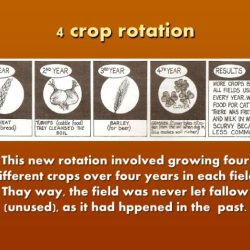 Rotation concepts gardener chances won