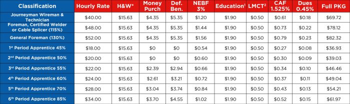 Rates apprentice wage years old