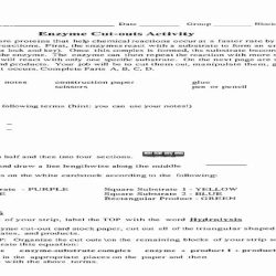 Enzyme cut outs activity answer key