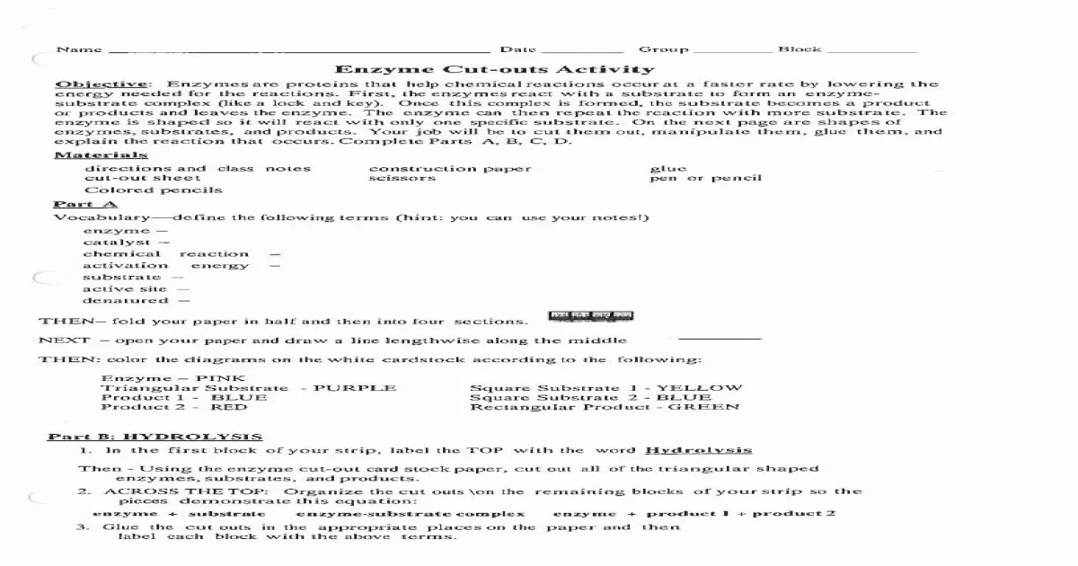 Enzyme cut outs activity answer key