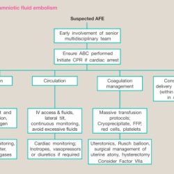 Amniotic embolism fluid