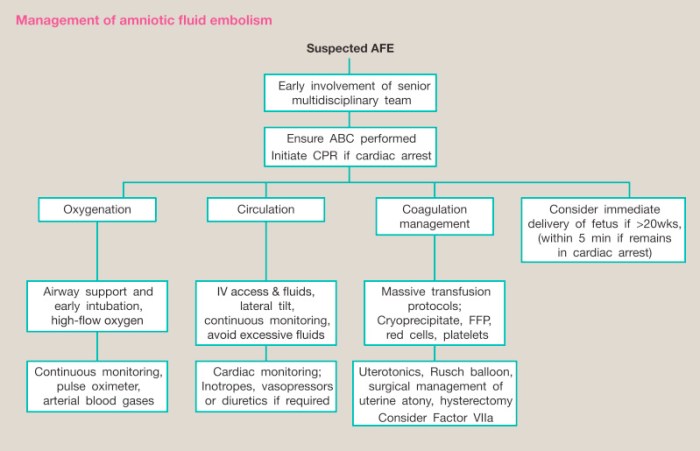 Amniotic embolism fluid